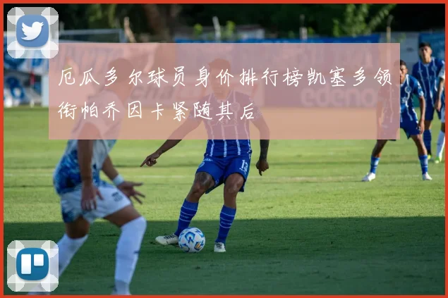 厄瓜多尔球员身价排行榜凯塞多领衔帕乔因卡紧随其后